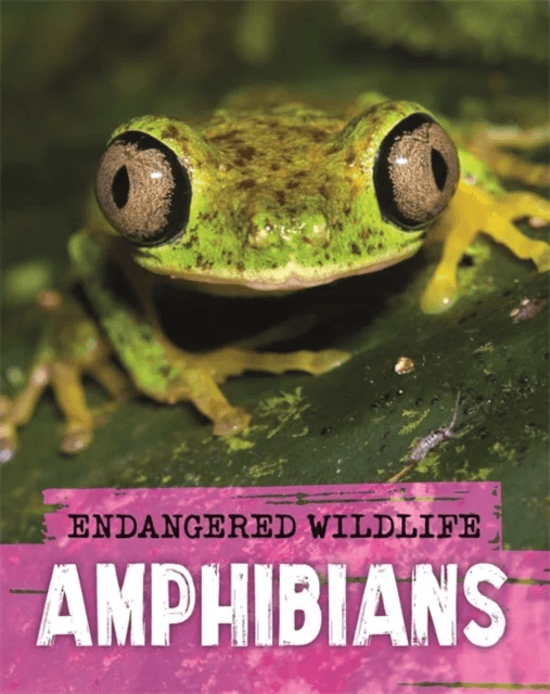 Endangered Wildlife: Rescuing Amphibians av Anita Ganeri