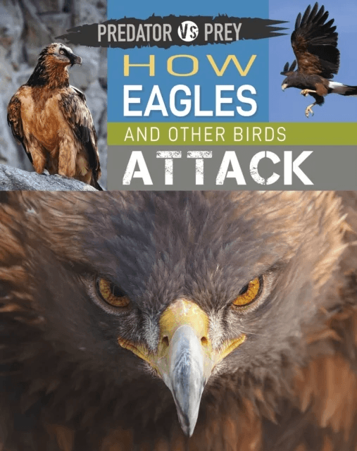 Predator vs Prey: How Eagles and other Birds Attack av Tim Harris