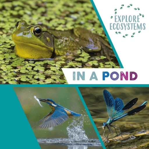 Explore Ecosystems: In a Pond av Sarah Ridley