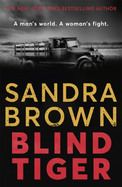 Blind Tiger av Sandra Brown