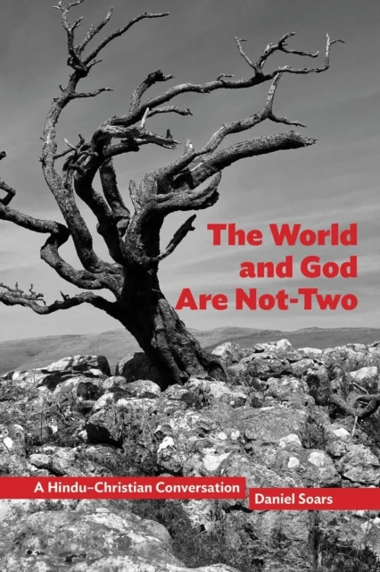 The World and God Are Not-Two av Daniel Soars