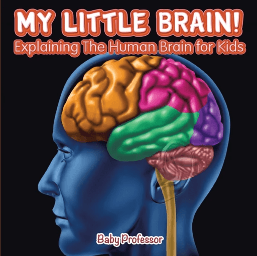 My Little Brain! - Explaining The Human Brain for Kids av Baby Professor