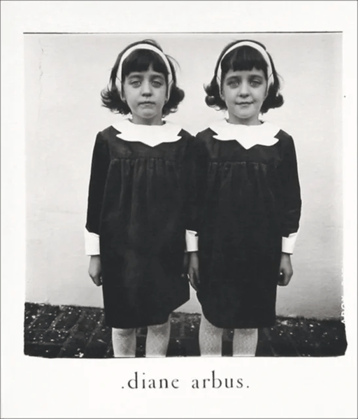 Diane Arbus: An Aperture Monograph av Diane Arbus