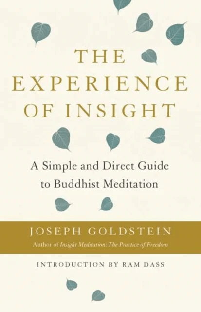 The Experience of Insight av Joseph Goldstein