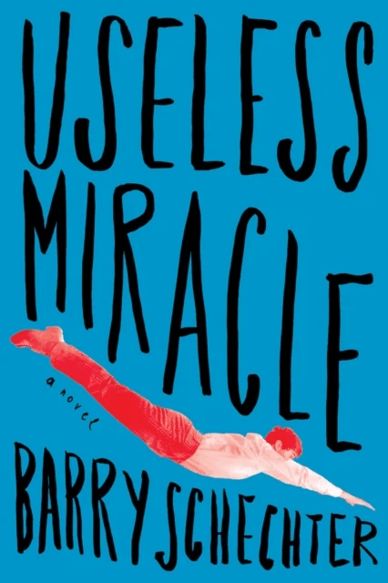 Useless Miracle av Barry Schechter