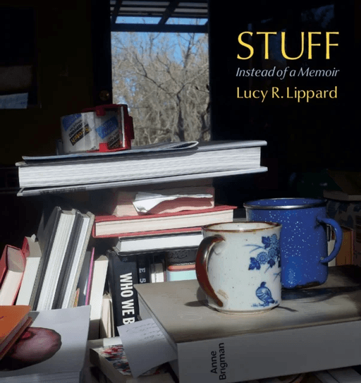 Stuff av Lucy R. Lippard