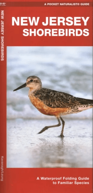 New Jersey Shorebirds av James Kavanagh, Waterford Press