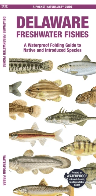 Delaware Freshwater Fishes av Matthew Waterford Press Morris