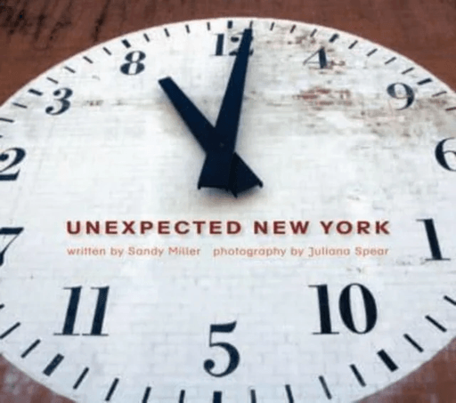 Unexpected New York av Sandy Miller