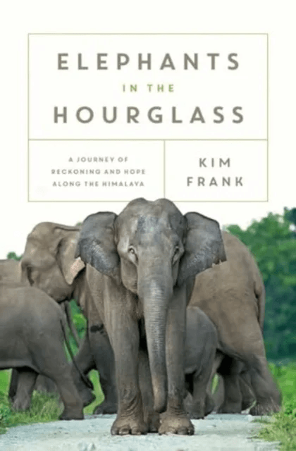 Elephants in the Hourglass av Kim Frank
