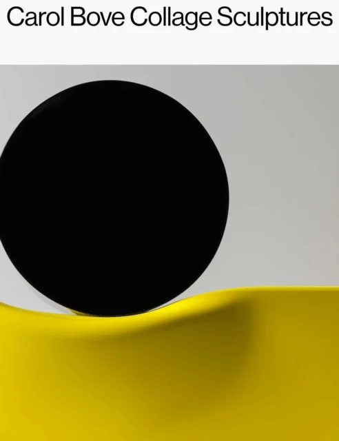 Carol Bove: Collage Sculptures av Carol Bove, Catherine Craft, Lisa Le Feuvre