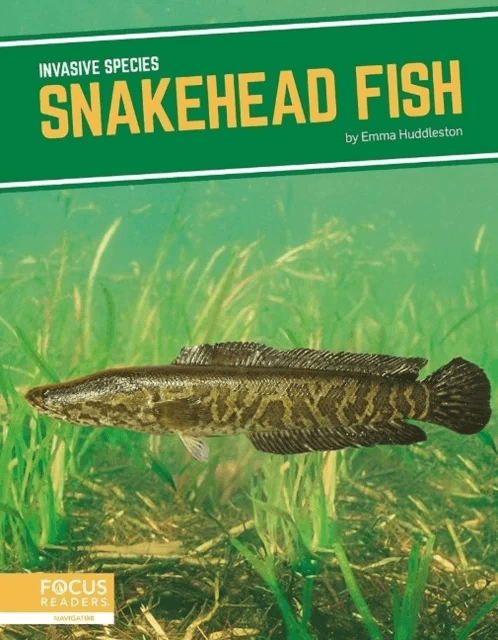 Invasive Species: Snakehead Fish av Emma Huddleston