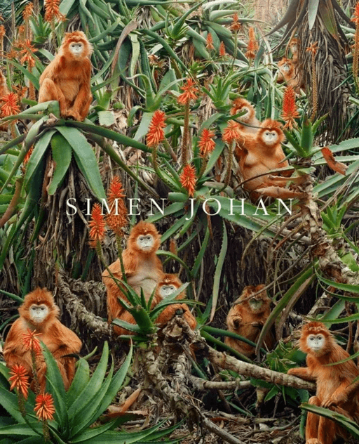 Simen Johan av Simen Johan