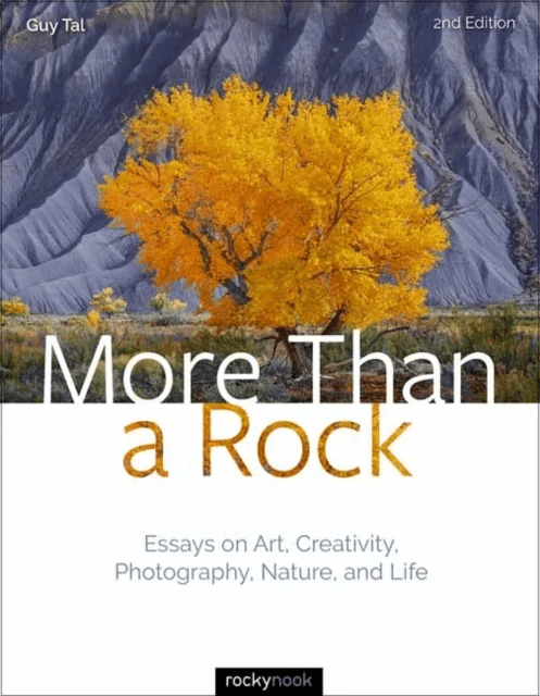 More Than a Rock av Guy Tal
