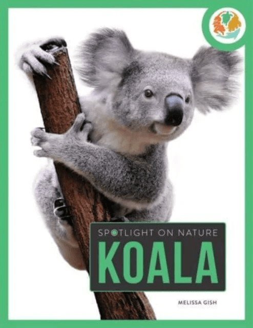 Spotlight on Nature: Koala av Melissa Gah