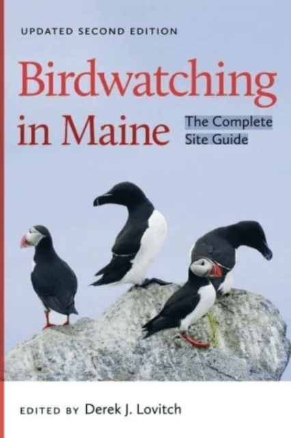 Birdwatching in Maine av Derek J. Lovitch