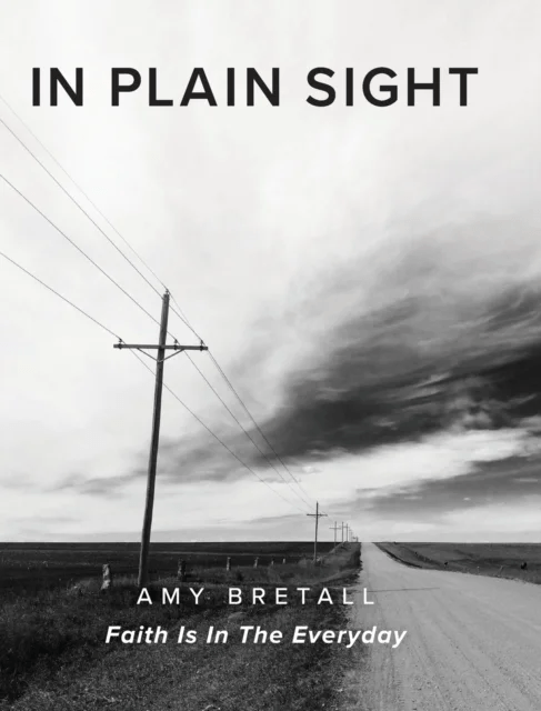 In Plain Sight av Amy Bretall