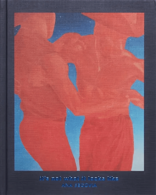 It's Not What It Looks Like av Ana Segovia