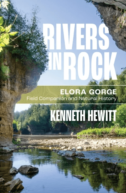 Rivers in Rock av Kenneth Hewitt