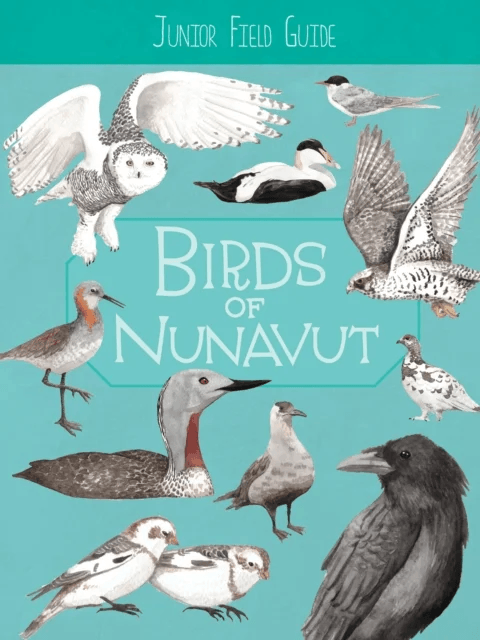 Junior Field Guide: Birds of Nunavut av Carolyn Mallory