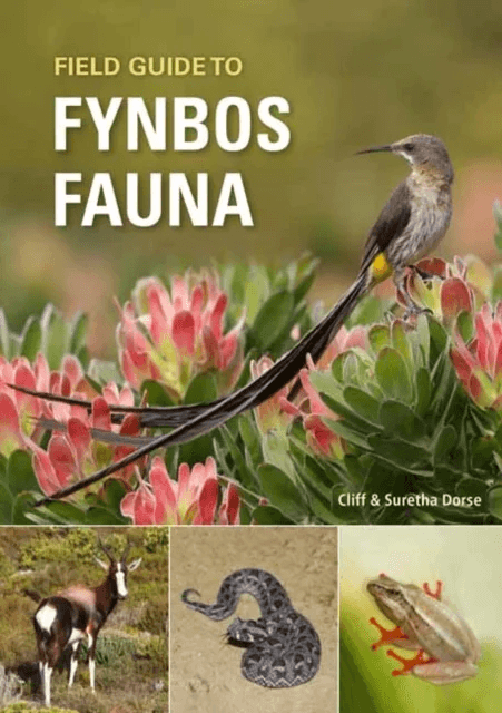 Field Guide to Fynbos Fauna av Cliff Dorse, Suretha Dorse