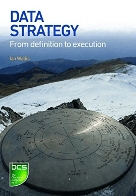 Data Strategy av Ian Wallis