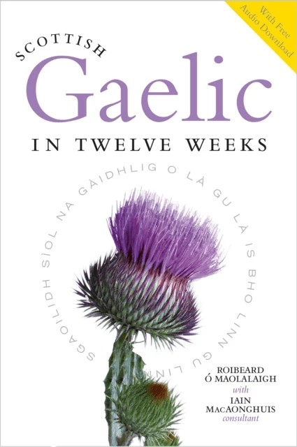 Scottish Gaelic in Twelve Weeks av Roibeard O Maolalaigh