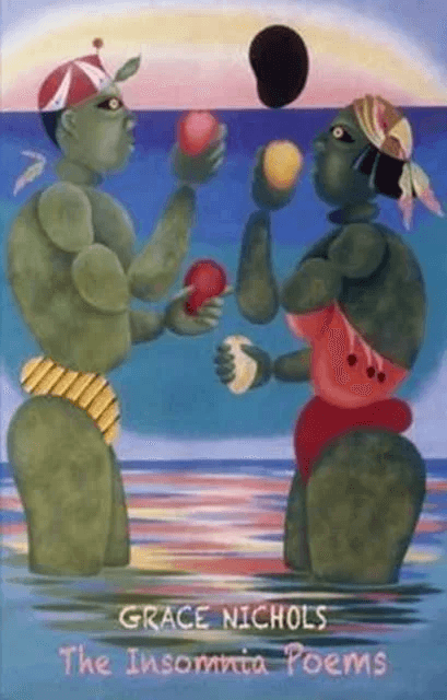 The Insomnia Poems av Grace Nichols