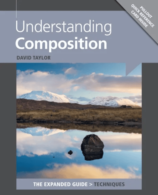 Understanding Composition av D Taylor