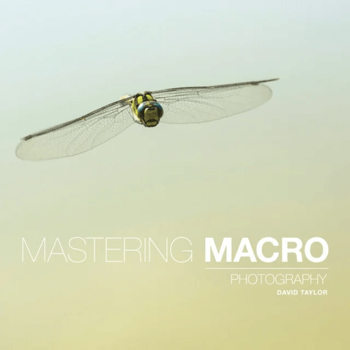 Mastering Macro Photography av D Taylor