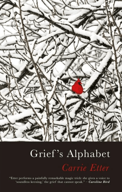 Grief's Alphabet av Carrie Etter