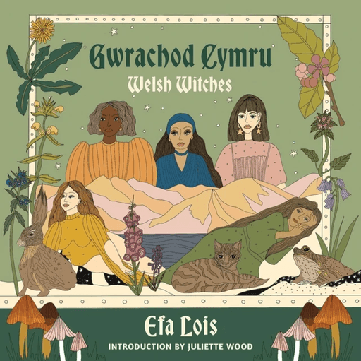 Gwrachod Cymru / Welsh Witches av Efa Lois