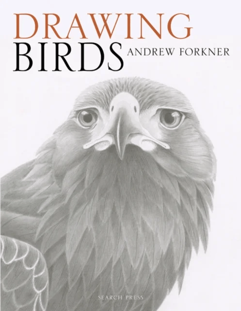 Drawing Birds av Andrew Forkner