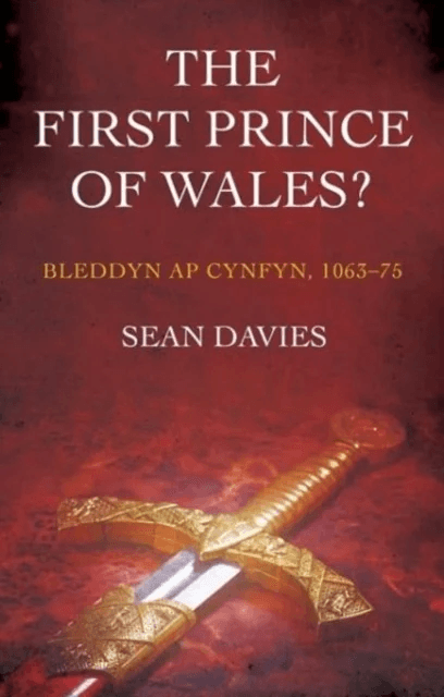 The First Prince of Wales? av Sean Davies
