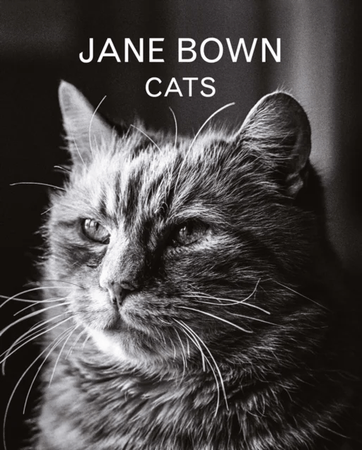 Jane Bown: Cats av Jane Bown