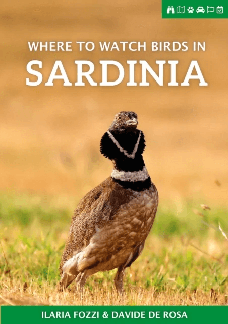 Where to Watch Birds in Sardinia av Ilaria Fozzi, Davide De Rosa