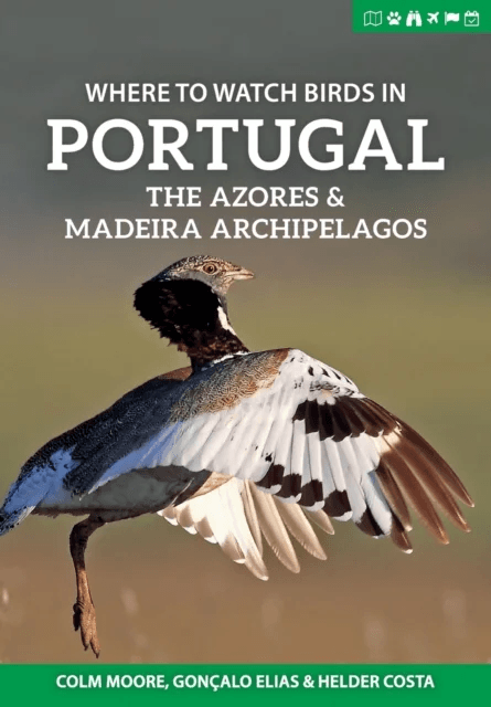 Where to Watch Birds in Portugal, the Azores &amp; Madeira Archipelagos av Colm Moore, Goncalo Elias, Helder Costa