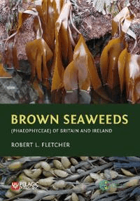 Brown Seaweeds (Phaeophyceae) of Britain and Ireland av Robert L. Fletcher