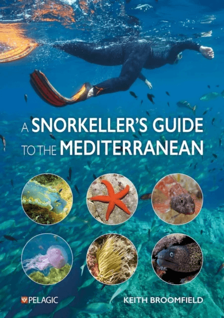 A Snorkeller¿s Guide to the Mediterranean av Keith Broomfield