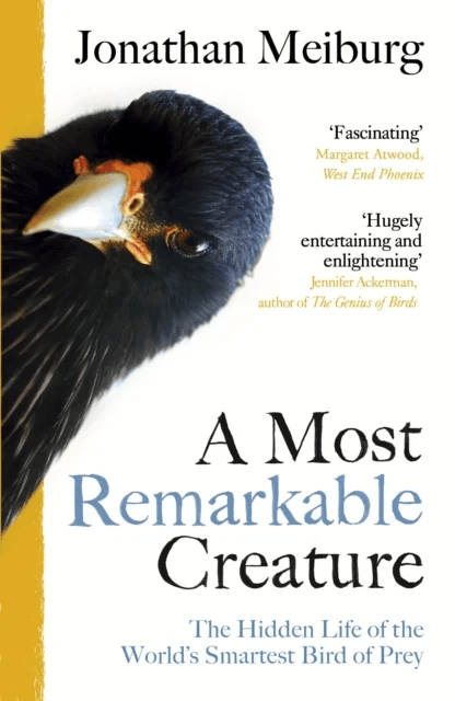 A Most Remarkable Creature av Jonathan Meiburg
