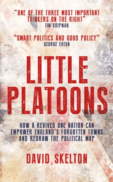 Little Platoons av David Skelton
