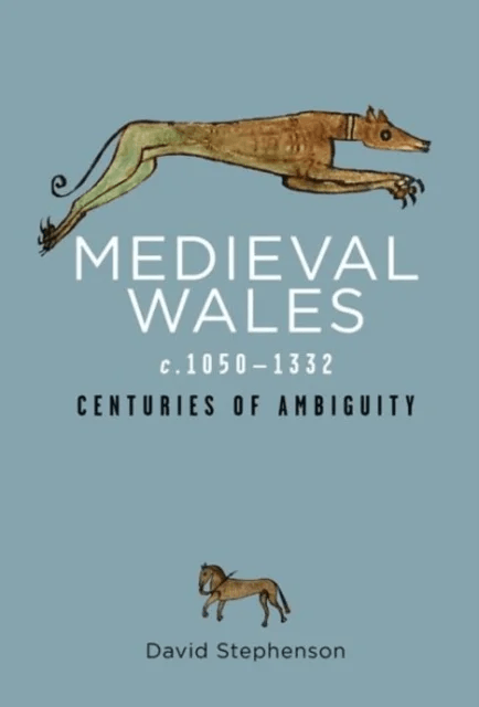 Medieval Wales c.1050-1332 av David Stephenson