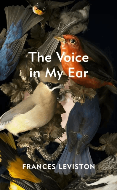 The Voice in My Ear av Frances Leviston
