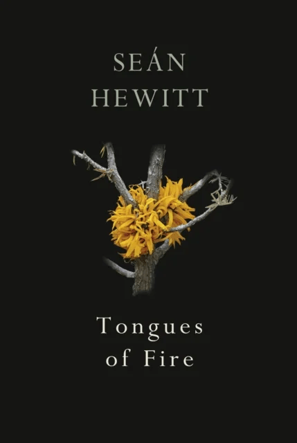 Tongues of Fire av Seán Hewitt