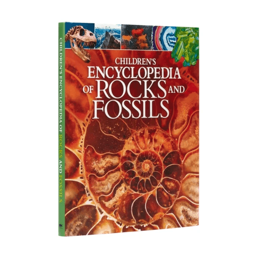 Children's Encyclopedia of Rocks and Fossils av Claudia Martin