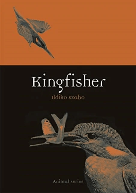 Kingfisher av Ildiko Szabo