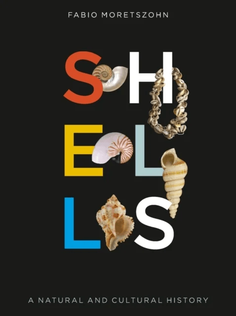Shells av Fabio Moretzsohn