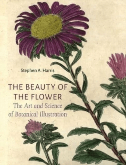 The Beauty of the Flower av Stephen A Harris