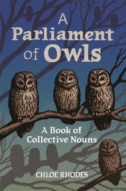 A Parliament of Owls av Chloe Rhodes