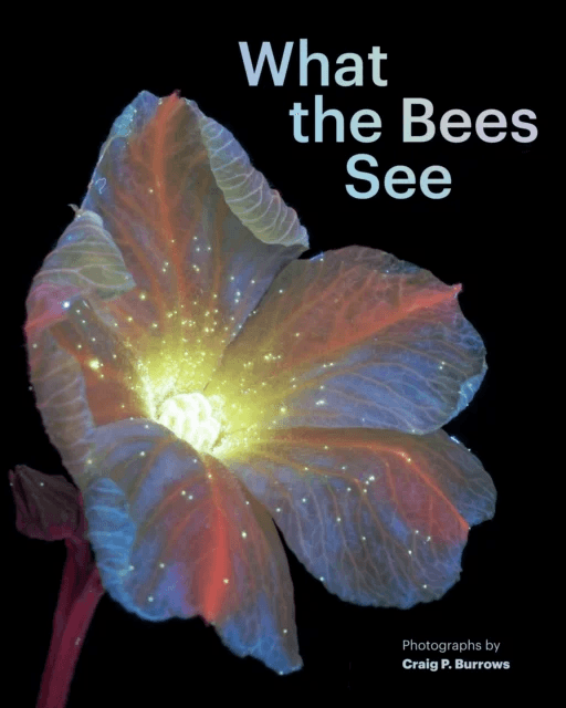What the Bees See av Craig P. Burrows